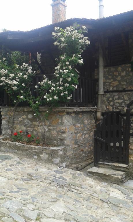 Traditional Guesthouse Archontoula パライオス・パンテレイモン エクステリア 写真